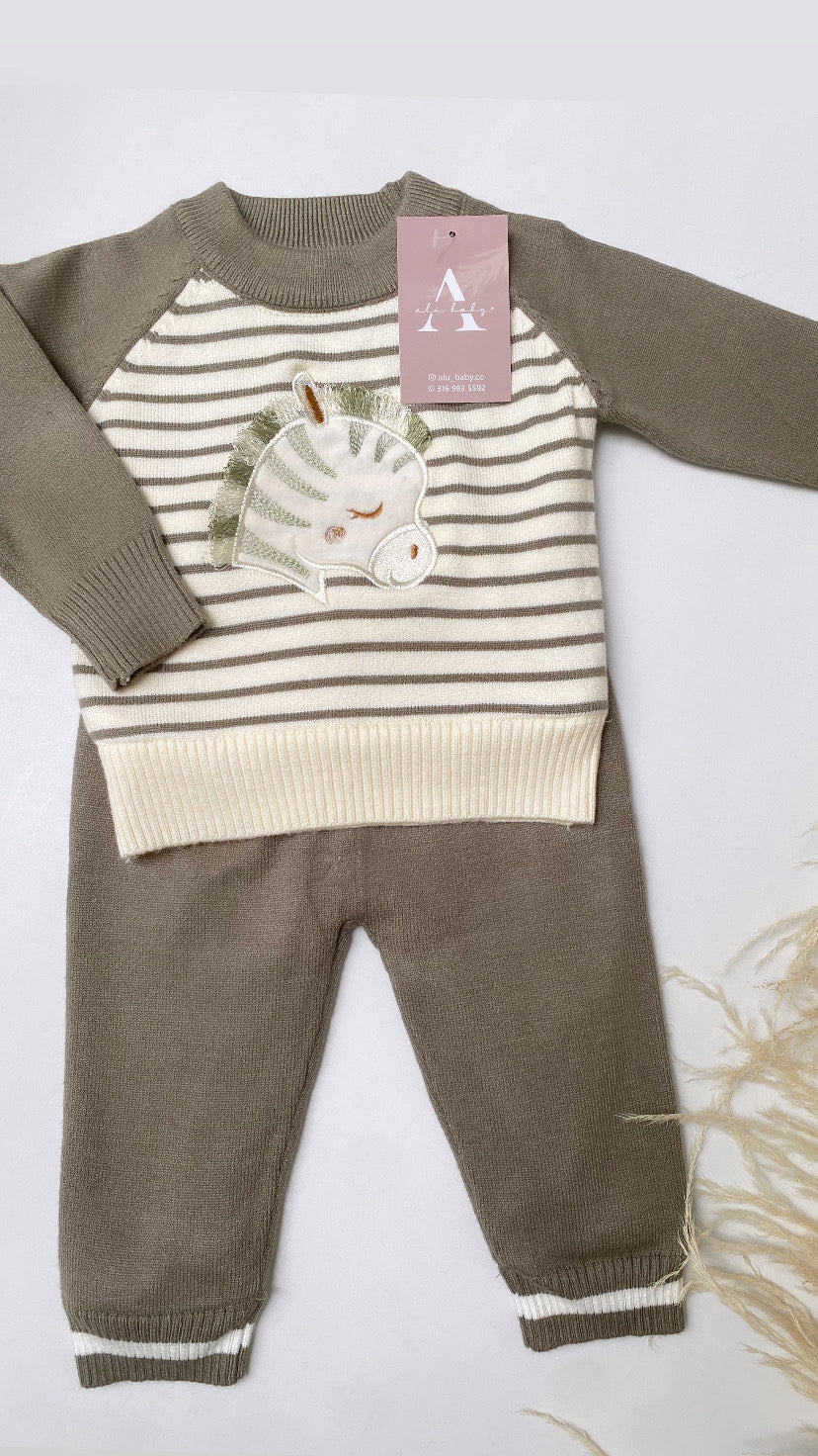 Conjunto de  cebra verde