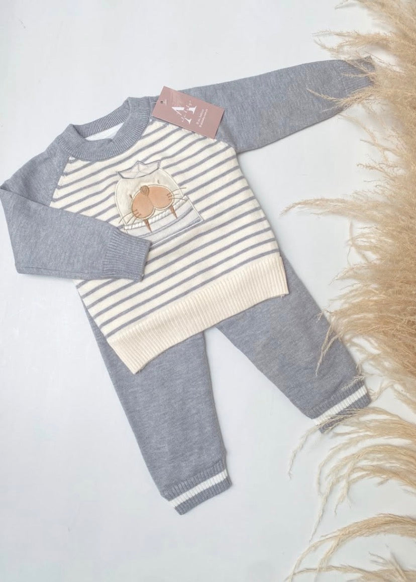 Conjunto de  león marino gris