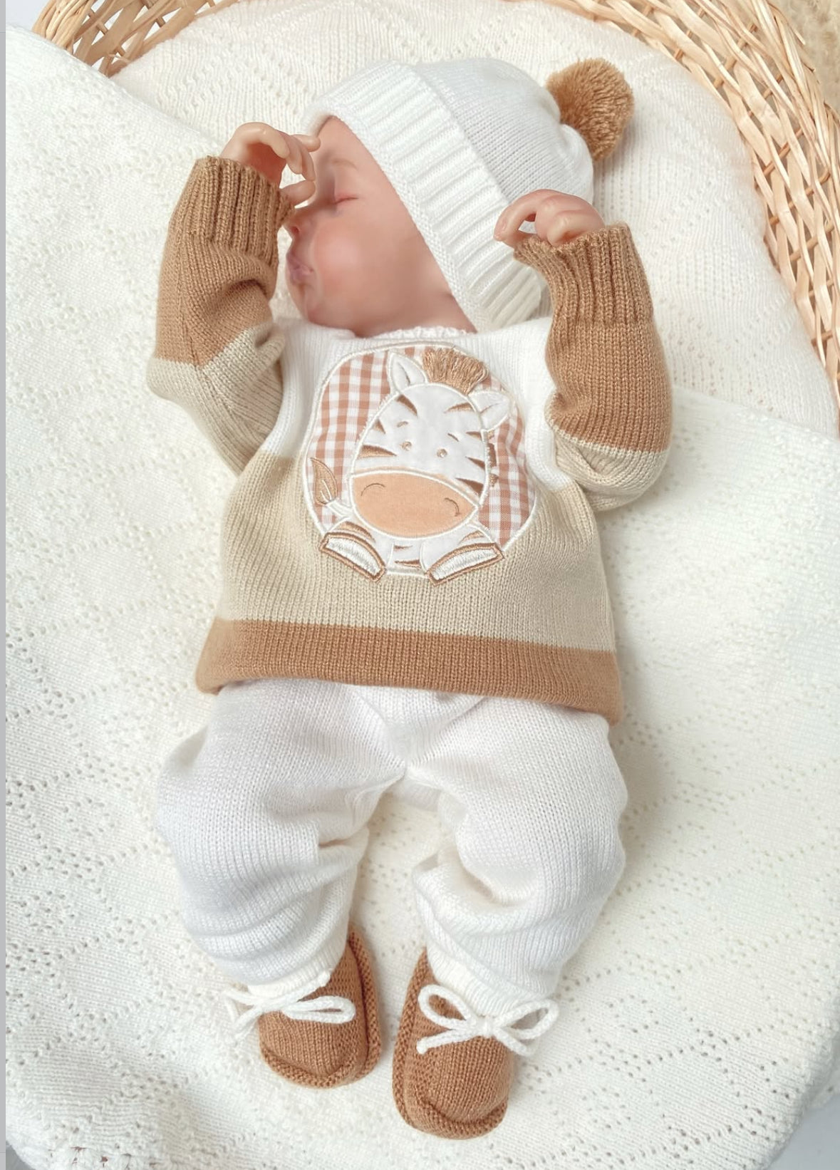 Set cebra arena + miel  1 a 4 meses