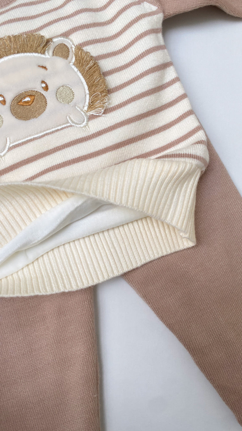 Conjunto de  erizo camel