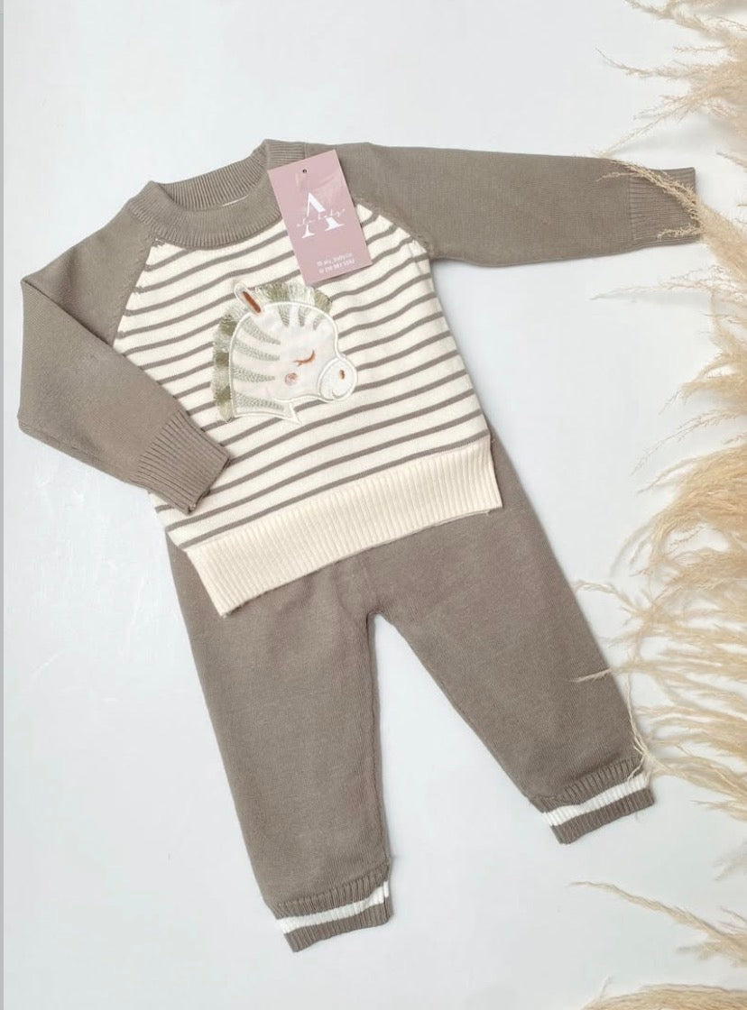 Conjunto de  cebra verde