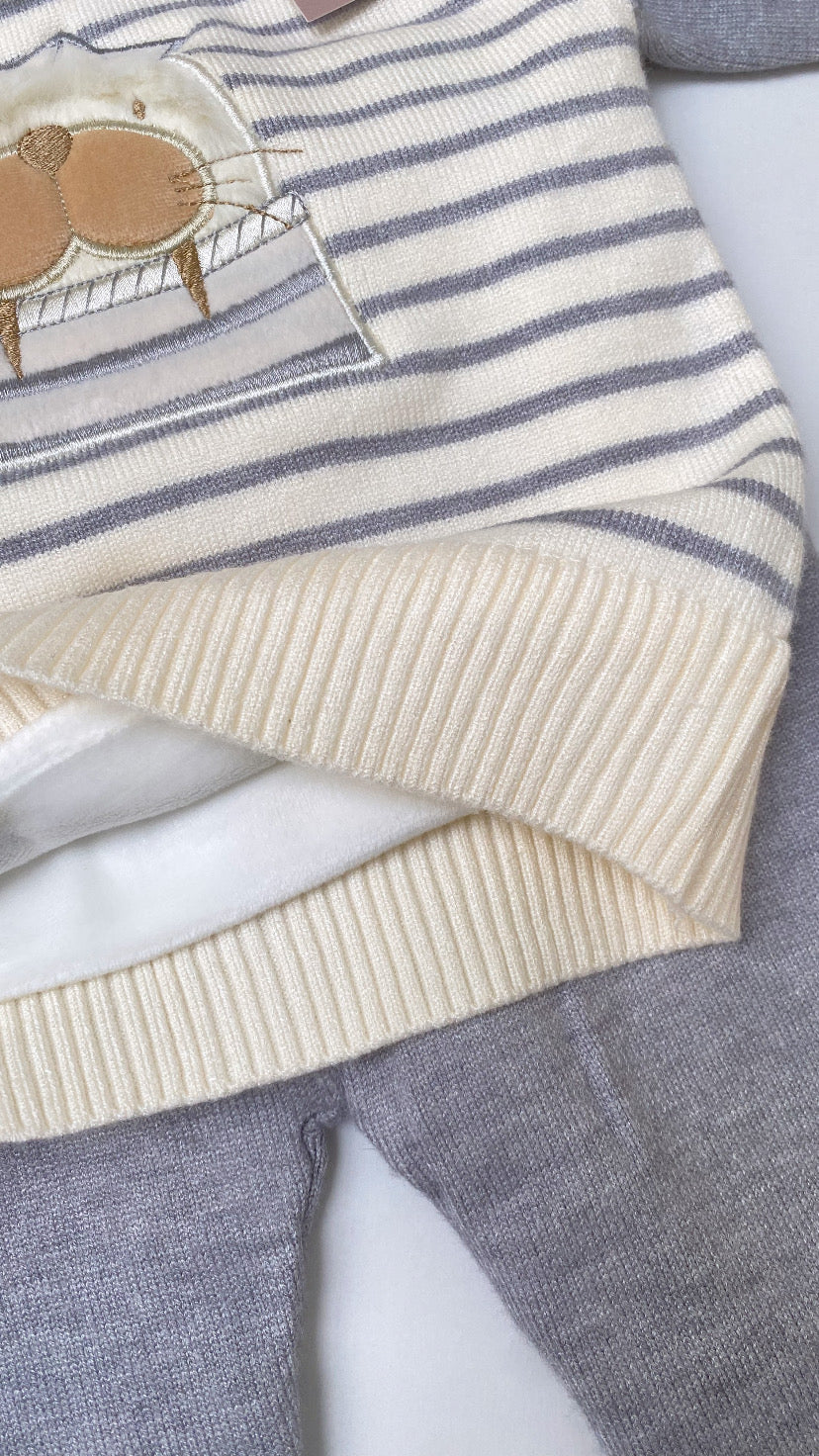 Conjunto de  león marino gris