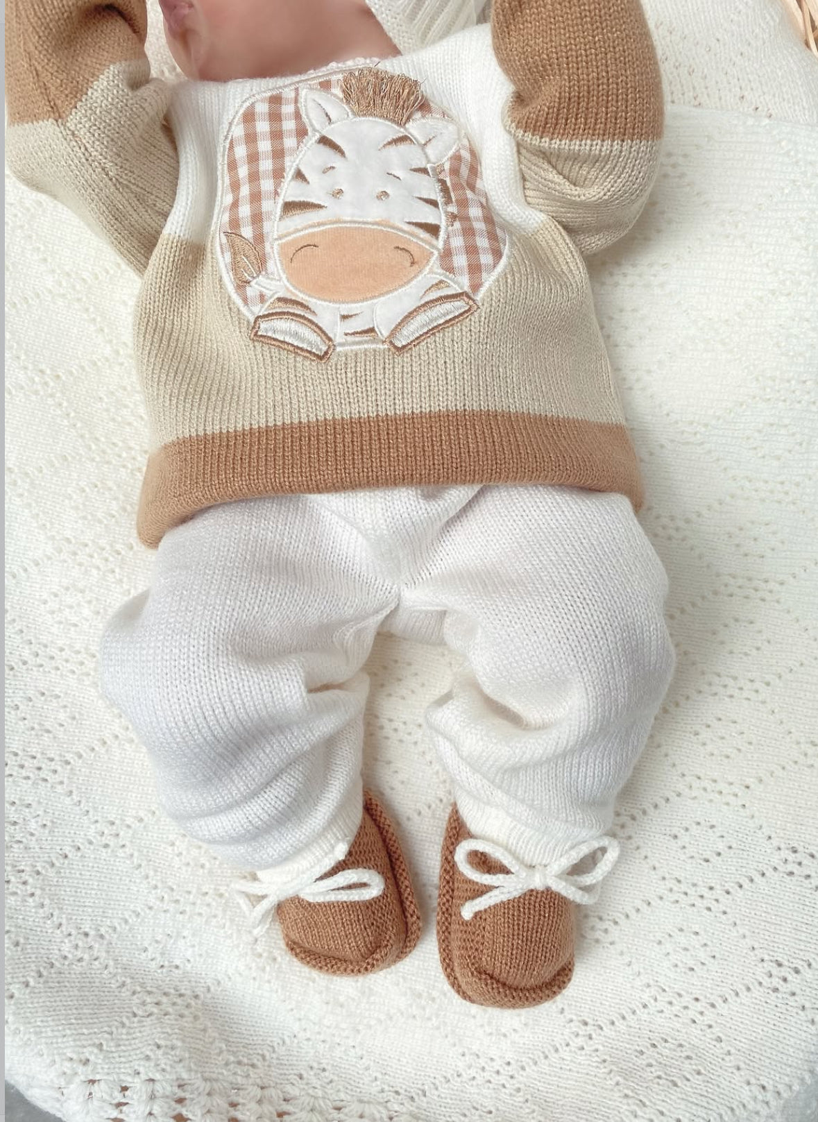 Set cebra arena + miel  1 a 4 meses