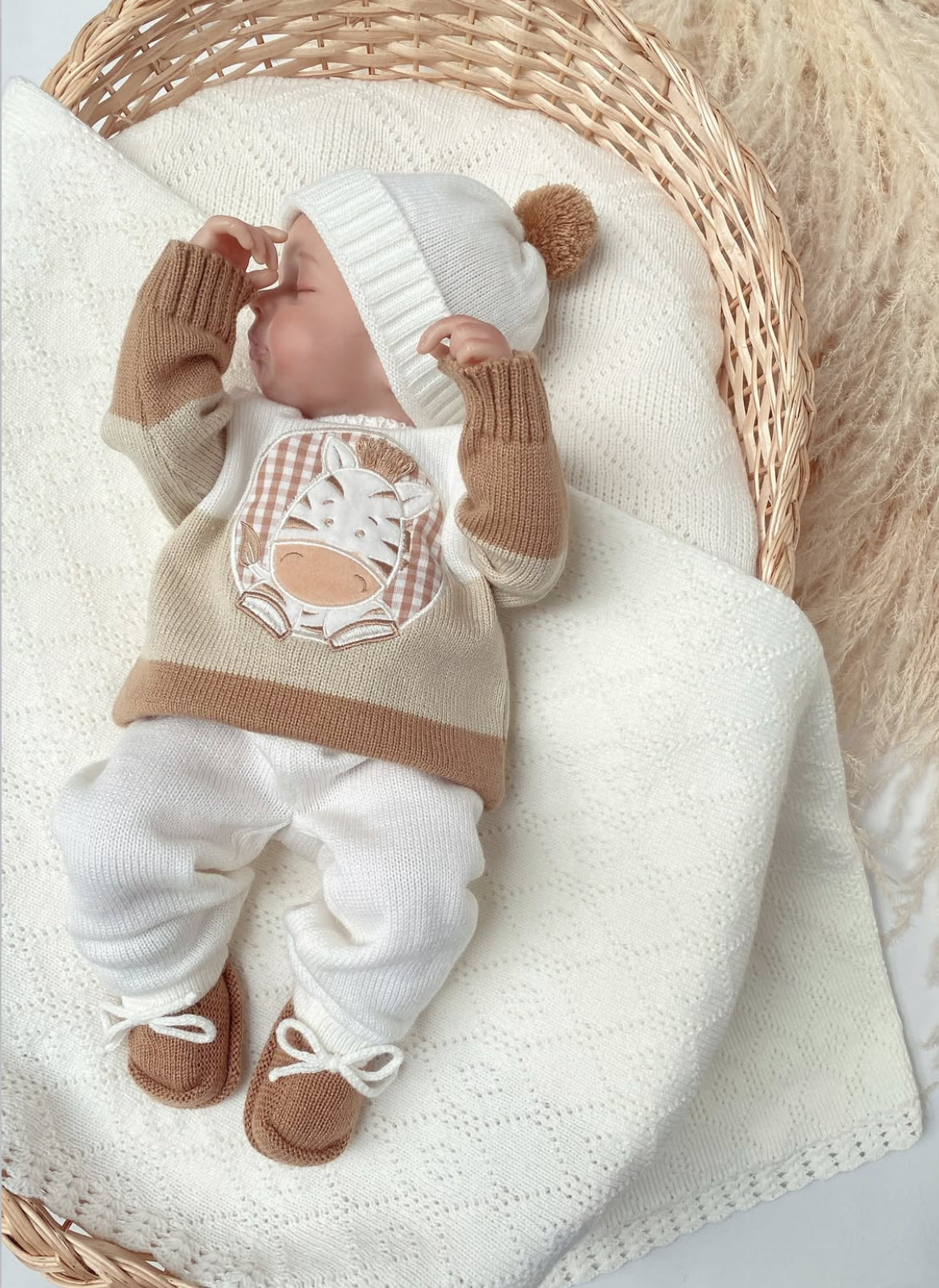 Set cebra arena + miel  1 a 4 meses