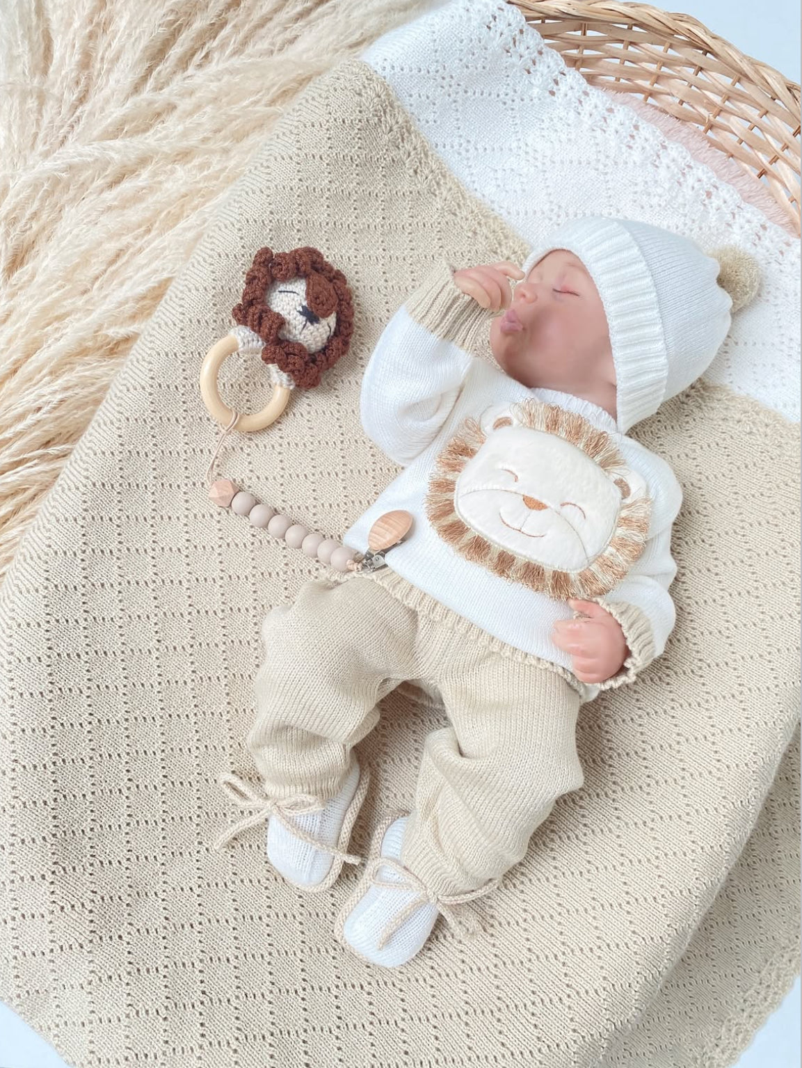 Set León arena 1 a 4 meses