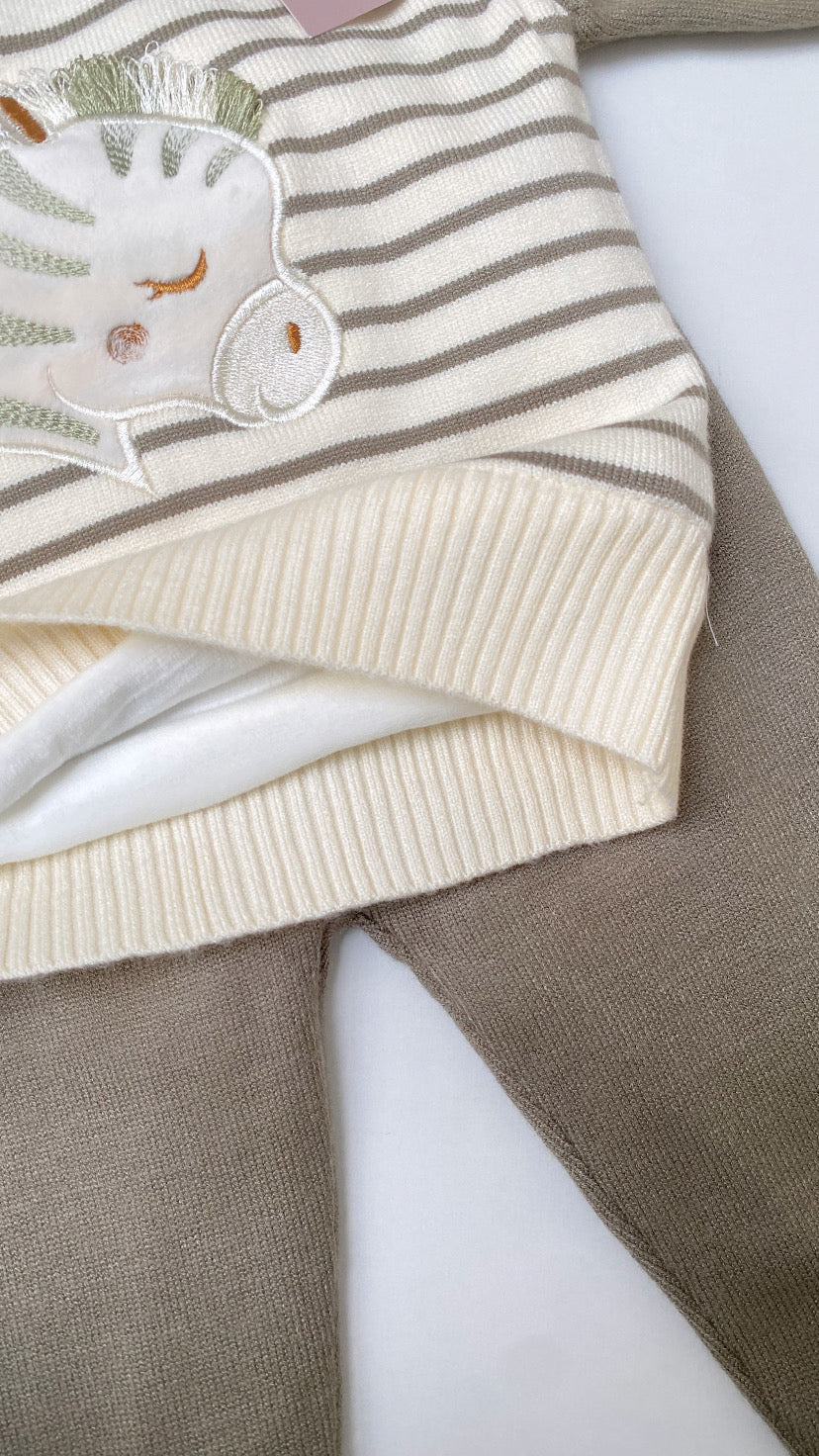 Conjunto de  cebra verde