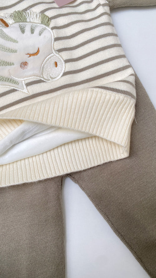 Conjunto de  cebra verde