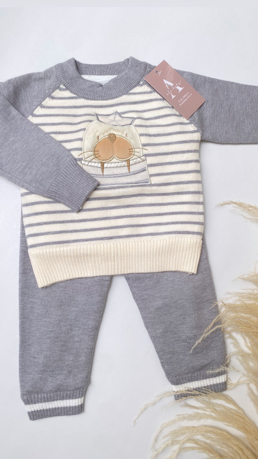 Conjunto de  león marino gris