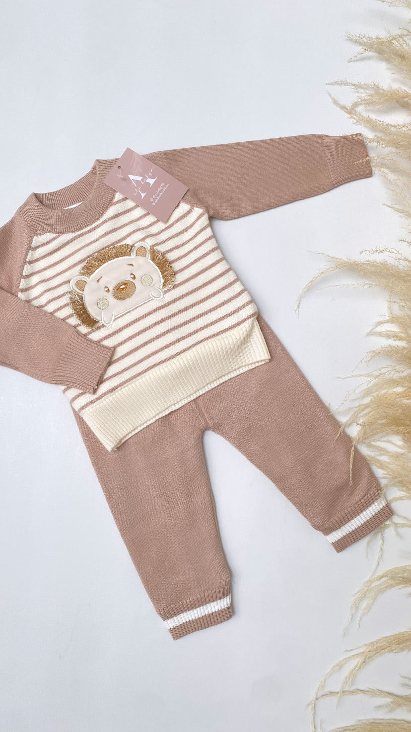 Conjunto de  erizo camel